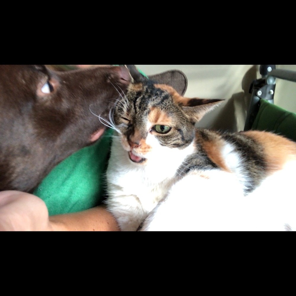 Meet your Posher, Jenny